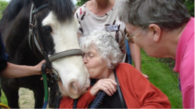 Tea with a pony’ sessions have power to help those with dementia