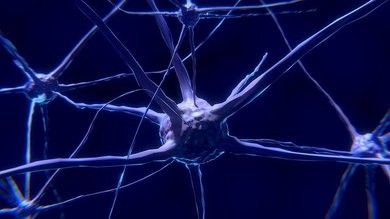Oxford dementia study starts getting results.