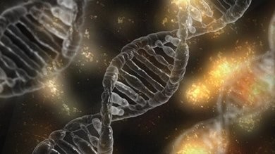 More Than 100 Identified Genes Found To Be Associated With Autism.