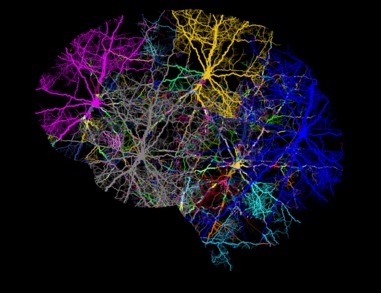 Alzheimer's brain 'atlas' may help identify new treatments