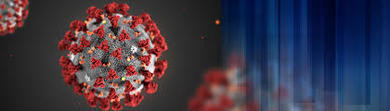 Corona Virus Update From The NHS